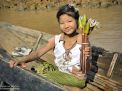girl lotus flower burma myanmar